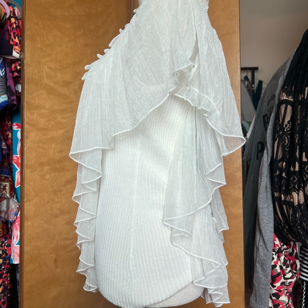 Isabella Rodriguez Sheer White Ruffle Overlay Blouse - Picture 3 of 4